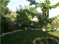 207ef76c-Picture 6312.jpg